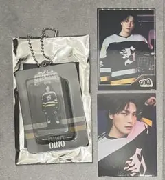 SEVENTEEN セブチ HOME トレカ/アクリルキーホルダー　　ディノ