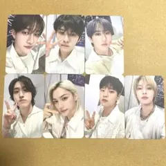 STAY JAPAN 更新特典 トレカ 2025