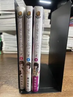 御神輿様 リクエスト 4点 まとめ商品