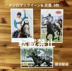 2026年最新】メジロマックイーン カードの人気アイテム - メルカリ
