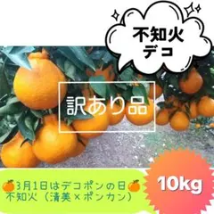 【ꕤ647】不知火デコ【訳あり品☆加工原料】10kg 熊本みかん