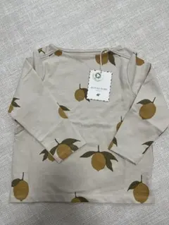 Item thumbnail for item 3fae1afe-f453-44a1-aca9-b081d5270474