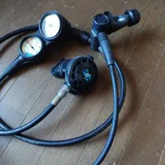 Item thumbnail for item 76f8c6d8-d549-475a-891b-fa810121bed8