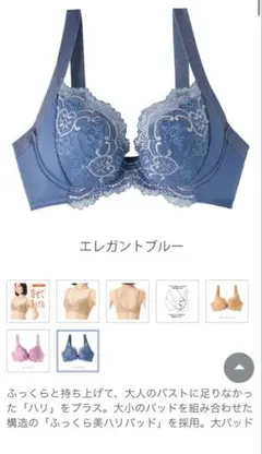 ファンケル　寄せて上げブラ　d80 エレガントブルー
