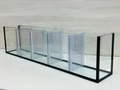 追加ラスト1台 特注ガラス水槽 600×200×200 4室 ポンプ付き 未使用