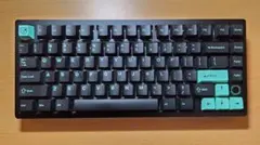 プリンストン MKGA75 ゲーミングキーボード レシーバー・F5欠品 - メルカリ