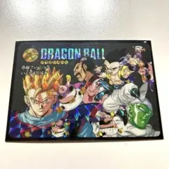 No.212ドラゴンボール ビジュアルアドベンチャー カードダス 鳥山明 希少