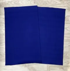 Item thumbnail for item 57569849-f3b1-4303-9b14-5381ddaa60d8