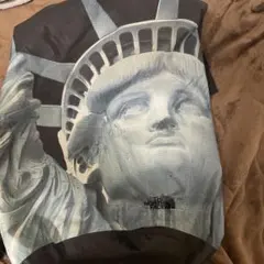 THE NORTH FACE ✖️supreme自由の女神リュック