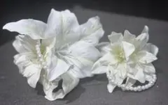 Item thumbnail for item 9d4c8c72-0690-49e7-ac7a-a0866526ac72