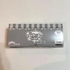 サンリオ キャラクターズ　パッケージチャーム　& チョコボーロ　新品未開封