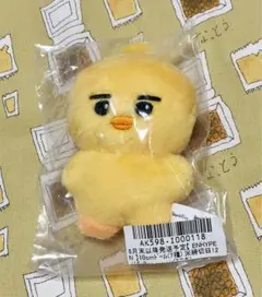 ENHYPEN ニキ 10cmドール ぬいぐるみ