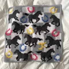 フェイラー　 スプリントホース　タオルハンカチ