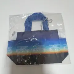 Item thumbnail for item 646fbfdf-3dbf-42d5-aab6-9af7a3f025f6