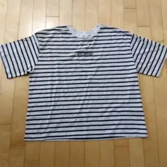 Cutie Blonde ストライプ Tシャツ REUNITED