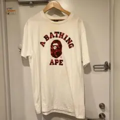 Item thumbnail for item f7ea7f36-b5c8-464c-8672-323254a0b903