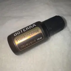 2026年最新】フランキンセンスの人気アイテム - メルカリ