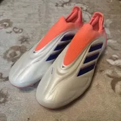 Item thumbnail for item 6d0b8dff-5f75-49fb-aec4-1e678398b989