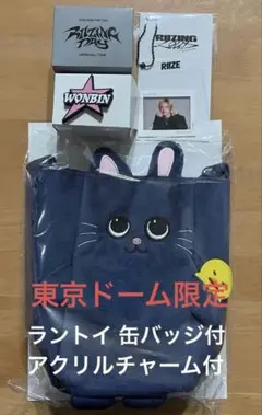 RIIZE ウォンビン ファンライト バッグ 缶バッジ チャーム UIQトレカ