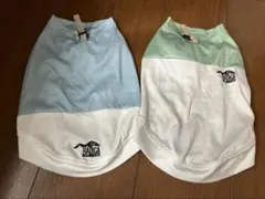 Item thumbnail for item 003848c8-ef13-43a8-a411-cc2c78204f7a