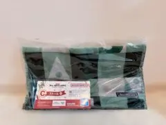 Item thumbnail for item f15437c6-d9b6-405d-9d93-20ba6b6bde34