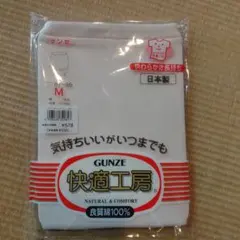 GUNZE 快適工房 ズロース Mサイズ カームベージュ