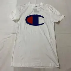 S/S Dress Camp × Champion Tシャツ M