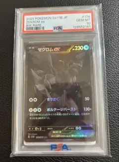 2026年最新】ゼクロムEX psa10の人気アイテム - メルカリ