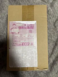 ポケモンセンター トウホク スペシャルBOX