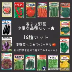Aya様 リクエスト 4点 まとめ商品