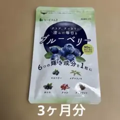 ブルーベリー 90粒 3ヶ月分