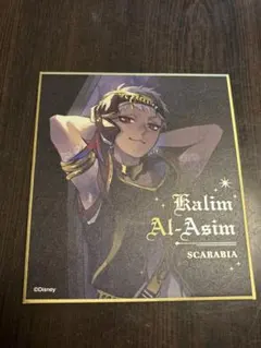 匿名配送 ディズニー ツイステッドワンダーランド カリム・アルアジーム 色紙