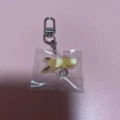 ポケモンスリープ つながるアクリルチャーム ブイズ ブラッキー - メルカリ
