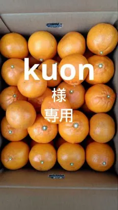 せとか10㎏(家庭用)kuon様専用