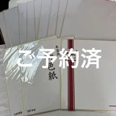 色紙13枚セット