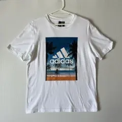 adidas PALM TREEグラフィックレギュラーフットTシャツ Sサイズのサムネイル