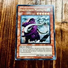 2025年最新】ビッグホーンマンモスの人気アイテム - メルカリ
