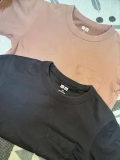 Tシャツセット 黒 茶 恐竜 ストライプ