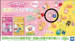 サンリオキャラクターズ ツインチャーム にじほしキャンディ vol.3 ウサハナ