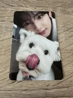 zb1 ゼベワンnever say never デジパ　トレカ　ユジン①