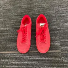 Item thumbnail for item 4dfd8603-2ab0-4ebb-987f-103912dd9a29