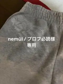 プロフ必読様❤️専用 息子TOEIC900・プロフ必読‼️さま専用 - メルカリ