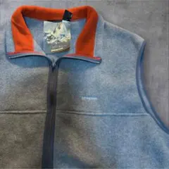 【00s】パタゴニア シンチラフリース ベスト 2000年代 XXL