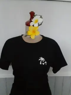 Item thumbnail for item 74c25112-c708-42f6-b288-0bf639329f72