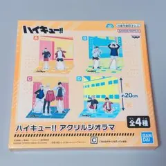 ハイキュー アクリルジオラマ C 黒尾鉄朗 木兎光太郎 月島蛍