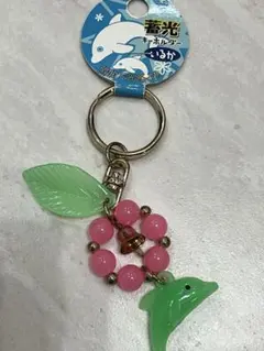 축광 있나 키홀더 헤세이 레트로