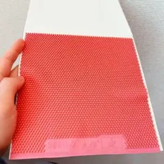 完全アンチ　粒高 イボ　卓球　ラバー　388d-2 ペン粒　異質　カット　A5