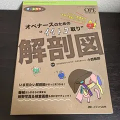 Item thumbnail for item 3c559492-6ee9-441a-abbe-daf292810b41