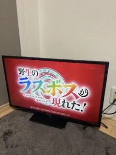 ちょこさん専用フナイ32型地デジBSCSチューナ見ながらカンタン録画機能