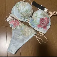 新品・未使用 ワコール サルート11g サルートF70 リボンブラ Tショーツ
